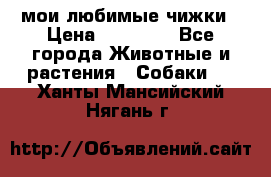 мои любимые чижки › Цена ­ 15 000 - Все города Животные и растения » Собаки   . Ханты-Мансийский,Нягань г.
